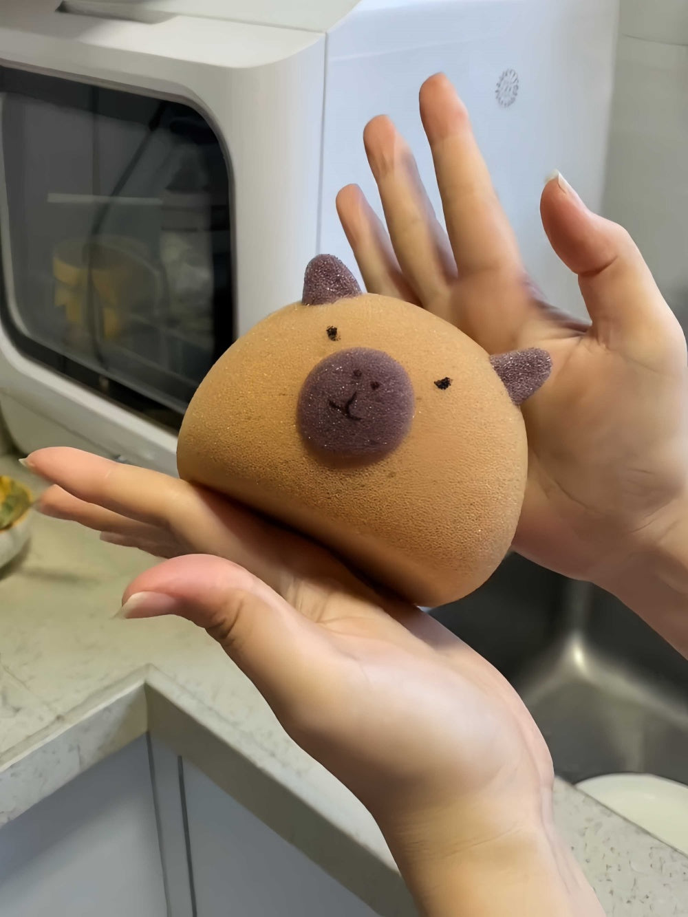 Kitchen Cartoon Capabala Dish-washing Sponge